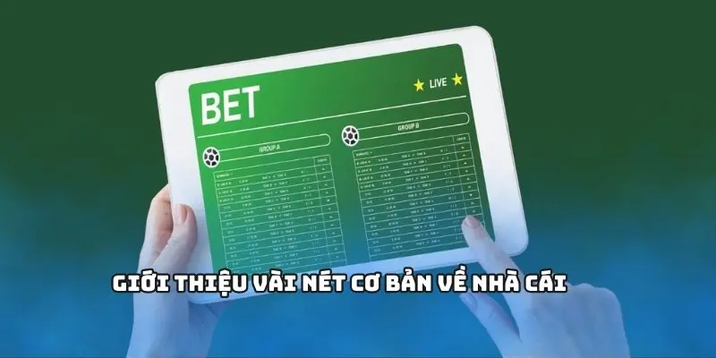 Các loại kèo nhà cái phổ biến và cách đọc chính xác